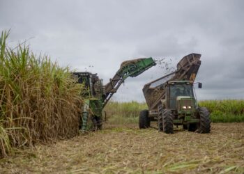 Warrants: récord histórico en el primer cuatrimestre de 2025