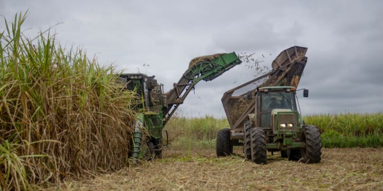 Warrants: récord histórico en el primer cuatrimestre de 2025