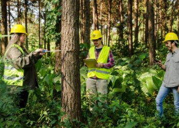 Capacitan a personal para identificar maderas y combatir la tala ilegal