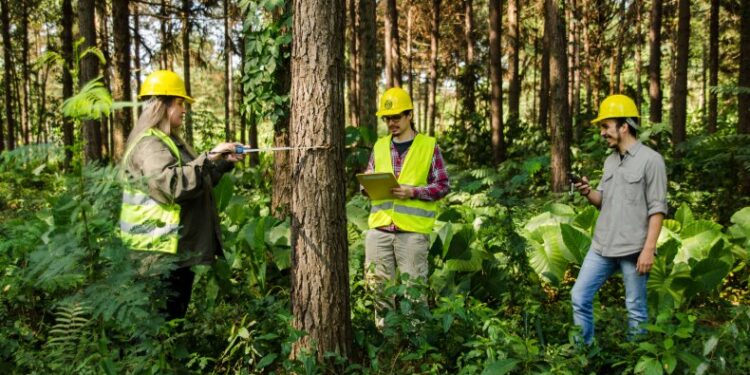 Capacitan a personal para identificar maderas y combatir la tala ilegal