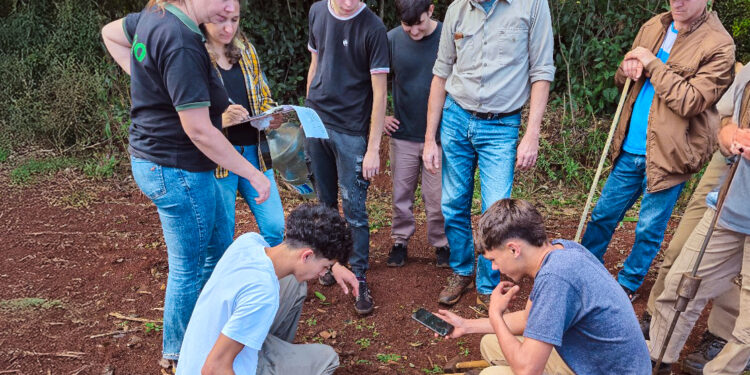 Prácticas para proteger y mejorar la salud del suelo misionero