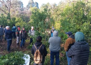 Capacitan  a trabajadores rurales en Eldorado e Itacaruaré