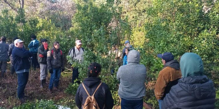 Capacitan a trabajadores rurales en Eldorado e Itacaruaré