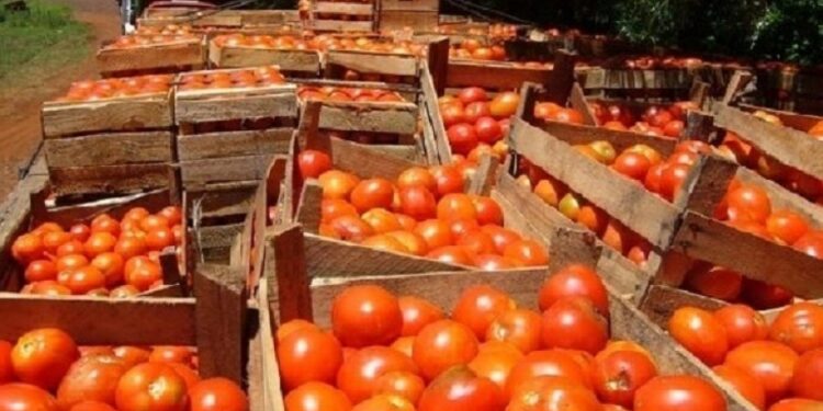 Productores correntinos en alerta por la apertura de importaciones y baja demanda