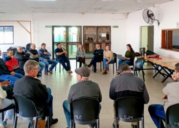 Hay precio garantía del brote del té