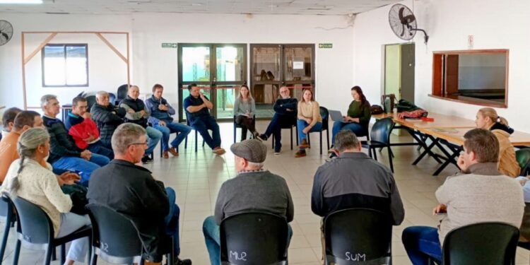 Hay precio garantía del brote del té