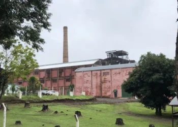 Nueva coordinadora del ex Ingenio Azucarero de San Javier