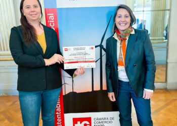 Producción orgánica: Misiones referente nacional