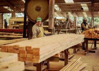 Tapebicuá paraliza en Corrientes sus actividades por treinta días