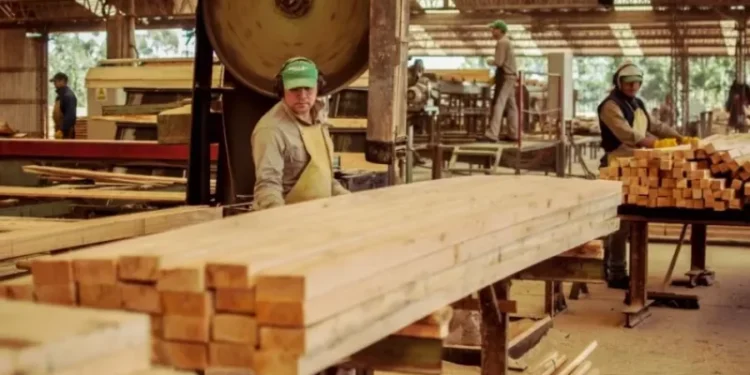 Tapebicuá paraliza en Corrientes sus actividades por treinta días