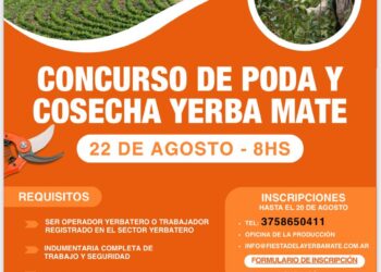 Concurso de poda y cosecha de yerba