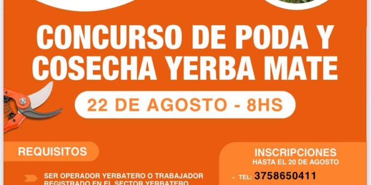 Concurso de poda y cosecha de yerba