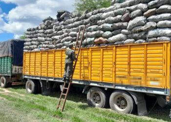 Sufre el agro: un flete por camión cuesta 32% más que en Brasil