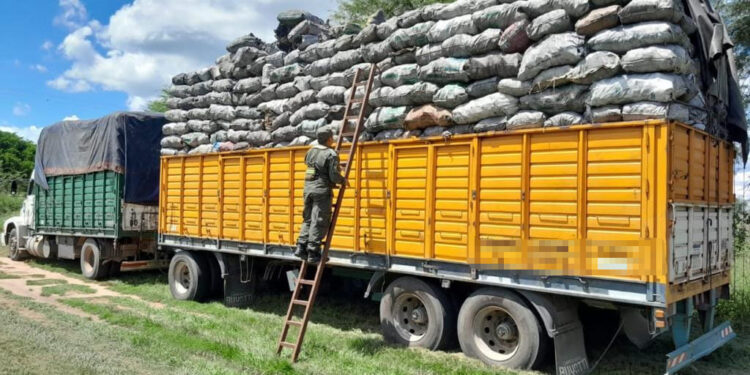 Sufre el agro: un flete por camión cuesta 32% más que en Brasil