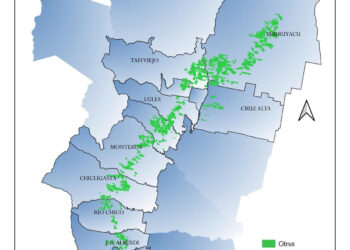 Nueva caída del sector citrícola tucumano