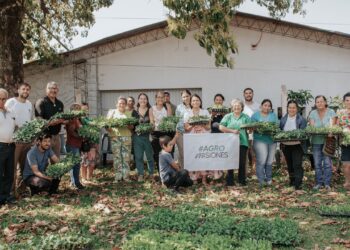 Entrega de plantines hortícolas y bioinsumos en tres localidades de Misiones