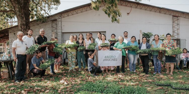 Entrega de plantines hortícolas y bioinsumos en tres localidades de Misiones