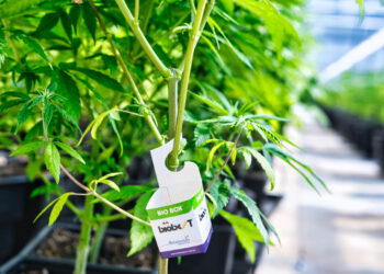 Diplomatura en Bioinsumos Agrícolas: nuevo módulo sobre control biológico de plagas