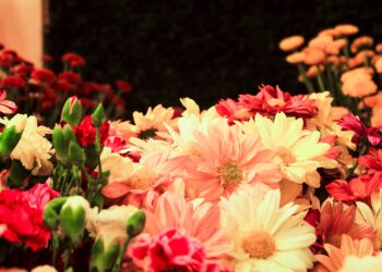 Floricultura: nace una cooperativa provincial y se prepara el primer envío de plantas a Buenos Aires