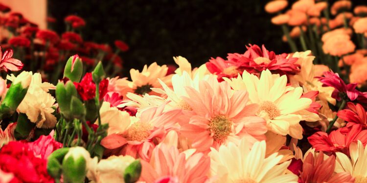 Floricultura: nace una cooperativa provincial y se prepara el primer envío de plantas a Buenos Aires