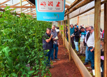 Innovación agrícola: el Centro Hortícola de San Vicente reafirmó su liderazgo con una jornada técnica que convocó a más de 50 asistentes
