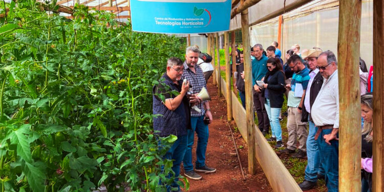 Innovación agrícola: el Centro Hortícola de San Vicente reafirmó su liderazgo con una jornada técnica que convocó a más de 50 asistentes