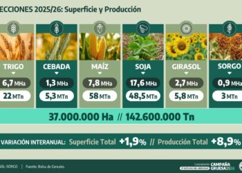 La cosecha agrícola argentina 2025/26 alcanzaría un récord de 142 millones de toneladas