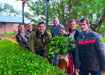 El Ministerio del Agro y la Biofábrica impulsan las chacras multiproductivas con entrega de plantines hortícolas y frutales en Bernardo de Irigoyen