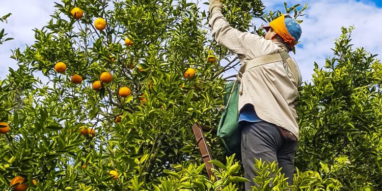 El RENATRE participó en la XIX Cátedra del Pacto Global presentando la certificación de prácticas laborales sostenibles
