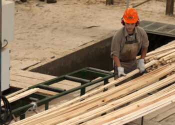 La exportación de productos maderables creció 34,5 % en valor en los primeros 8 meses  del año