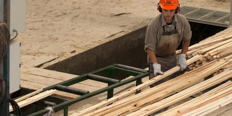 La exportación de productos maderables creció 34,5 % en valor en los primeros 8 meses  del año