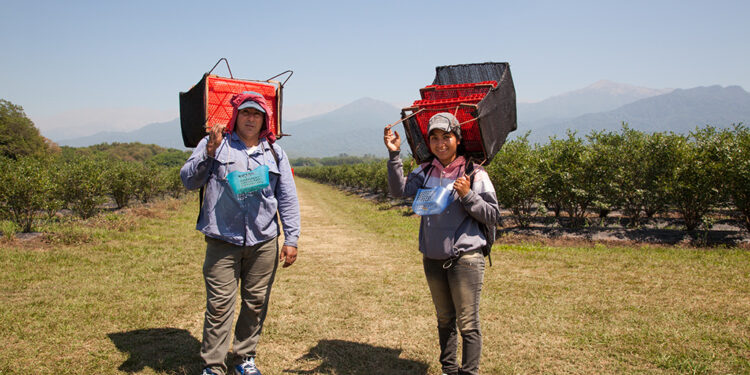 El RENATRE aumenta la Prestación por Desempleo a $330.000 a partir del 1° de noviembre