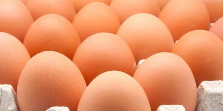 El huevo ya es el segundo alimento más consumido en Argentina