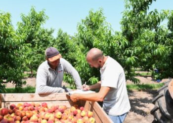 El Departamento de Estado de los EEUU reconoció el rol activo del RENATRE en la lucha contra la trata de personas.