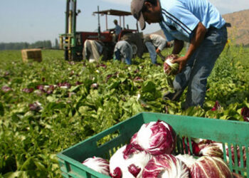 Voytenco pidió que se prorrogue la compatibilidad entre el trabajo temporario y los planes sociales en el sector rural