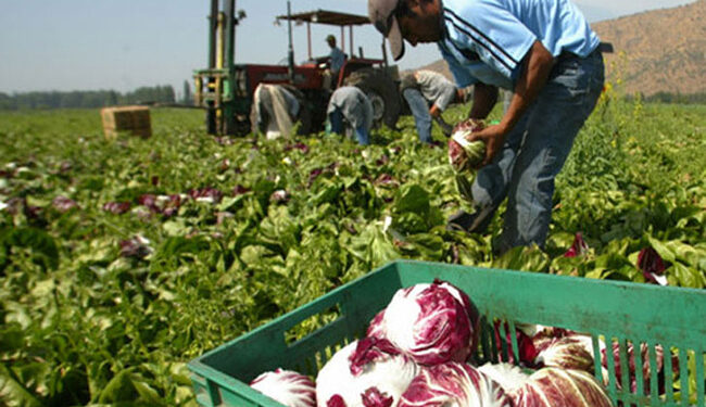 Voytenco pidió que se prorrogue la compatibilidad entre el trabajo temporario y los planes sociales en el sector rural