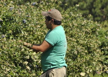 El RENATRE aumenta la Prestación por Desempleo a $346.500 a partir del 1° de diciembre