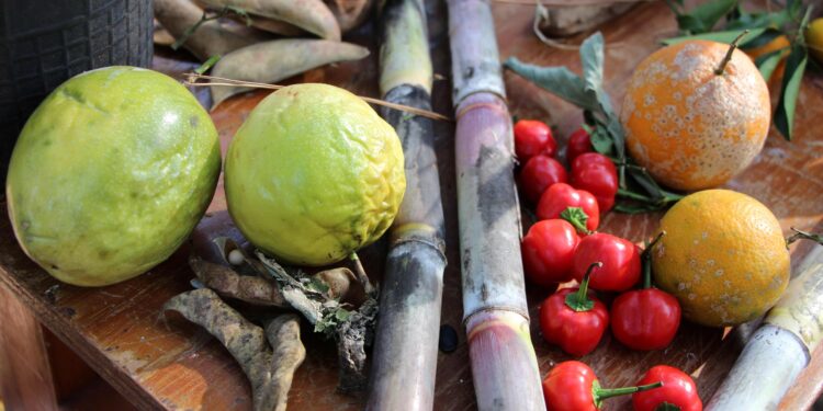 Mes de la Agroecología: desde el martes, talleres, semillas y feria de productores en Gobernador Roca, Santo Pipó y Corpus