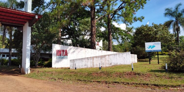 Un laboratorio al servicio de la producción misionera