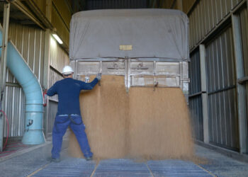 Las exportaciones agroindustriales crecieron 21% en valor en septiembre de 2025