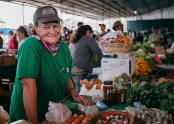 La Feria del HCD se muda al Paseo Bosetti a partir del martes 25 de noviembre