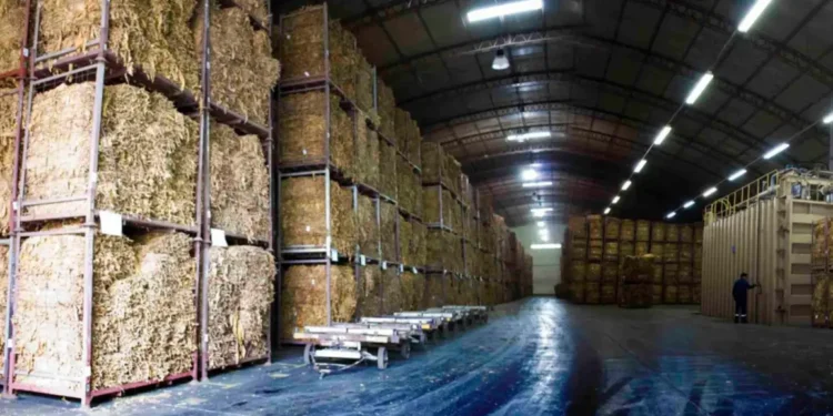 Cierra la planta de acopio de Alliance One en Perico