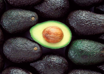 Palta Hass en Misiones: avanza la producción en Misiones