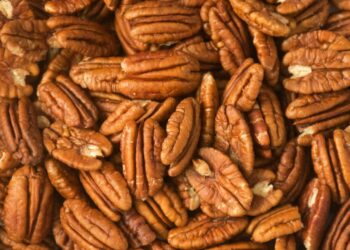 Argentina será sede del IV Simposio Sudamericano de Pecán y la Convención Anual de la CAPPecán