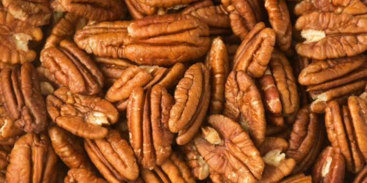 Argentina será sede del IV Simposio Sudamericano de Pecán y la Convención Anual de la CAPPecán