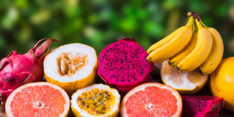 Fruticultura: se proyecta un 2026 enfocado en mercados, innovación y valor agregado