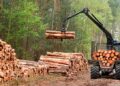 «El futuro de Corrientes es 100% forestal”