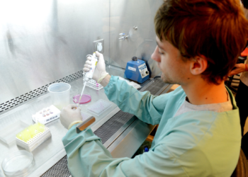 Record de aprobaciones de  productos genéticamente modificados en Argentina