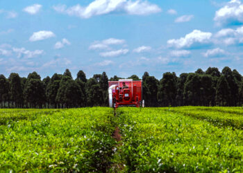 Programa Federal de Acciones Sustentables para Actividades Productivas, una herramienta estratégica