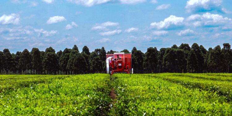 Programa Federal de Acciones Sustentables para Actividades Productivas, una herramienta estratégica